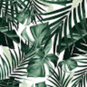 Meet your Posher, Ani nayak